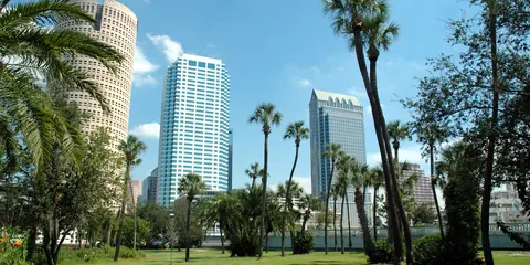 Tampa, FL